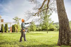 Best Tree Fertilization Services  in Upton, WY